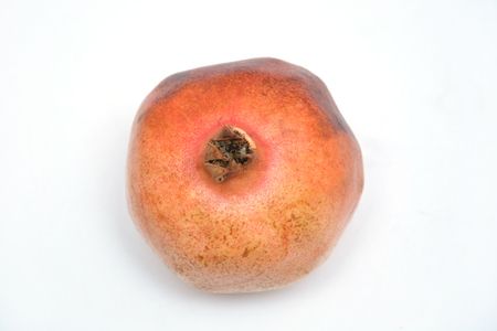 fruit on white background pomegranate grain grenade and persimmonの写真素材