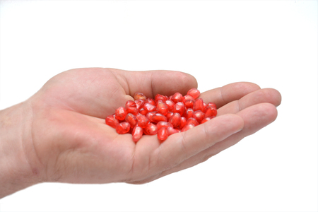 fruit on white background pomegranate grain grenade and persimmonの写真素材