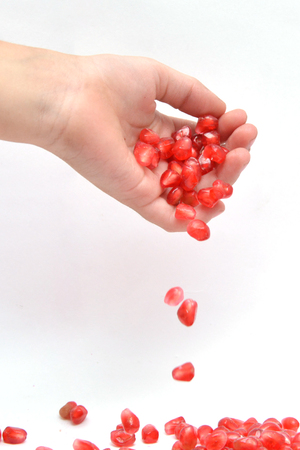 fruit on white background pomegranate grain grenade and persimmonの写真素材