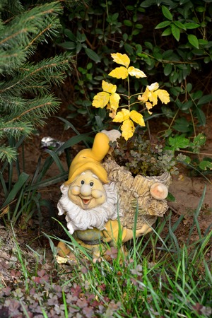 dwarfs on the grassの写真素材