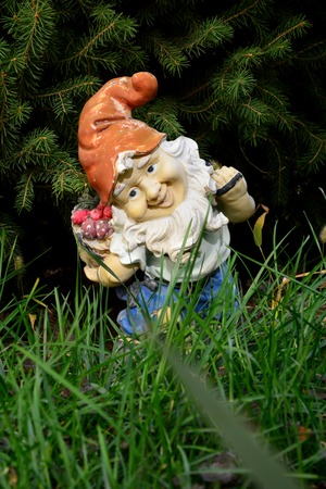 dwarfs on the grassの写真素材