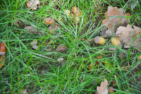 Green grass wall texture for background design and wall cutting for artwork.