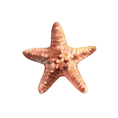 Starfish. Marine animal. Underwater life object isolated on white background. Hand drawn watercolor illustration. Clip art. Can be used for posters, T-shirts, textile souvenirs, ceramic souvenirs, labels, websites, postcards, stickers, calendars.の写真素材