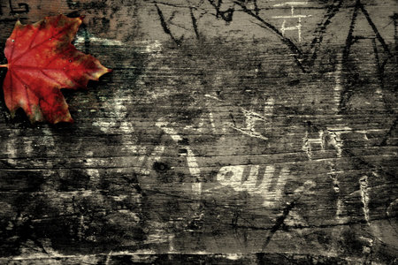 Red Maple Leaf on wooden engraved backroundの写真素材