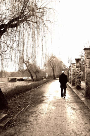 Man walking through parkの写真素材