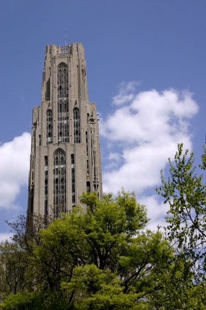 cathedral in parkの写真素材