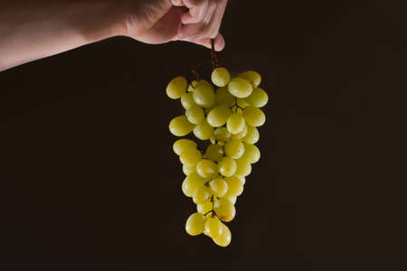 Photo of green grape held in hand with black backgroundの写真素材