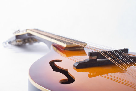 Detail photo of bluegrass mandolin on white background