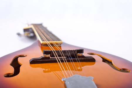 Detail photo of bluegrass mandolin from the bottom on white background