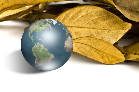 Earth with dry leavesの写真素材
