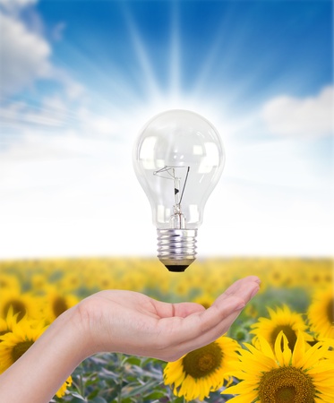 Light bulb in handの写真素材