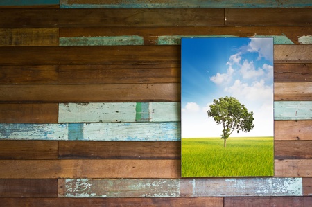 Nature photo on wood wallの写真素材
