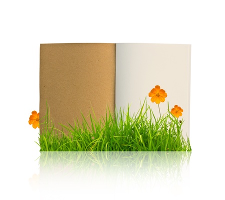 Book with flower and grassの写真素材