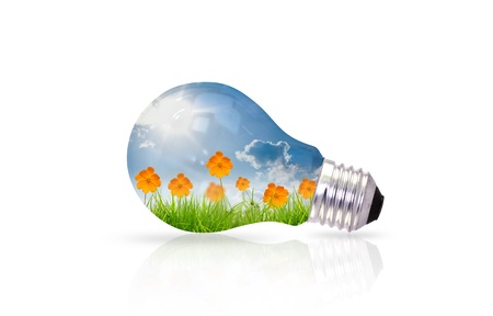 light bulb with beautiful flower insideの写真素材