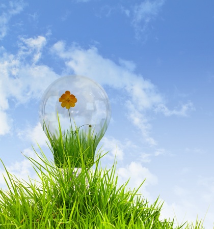 light bulb with beautiful flower insideの写真素材
