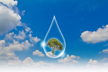 Eco concept : Water drop in the sky with tree insideの写真素材