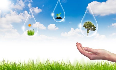 Eco concept : tree in water drop against the sun and the blue skyの写真素材