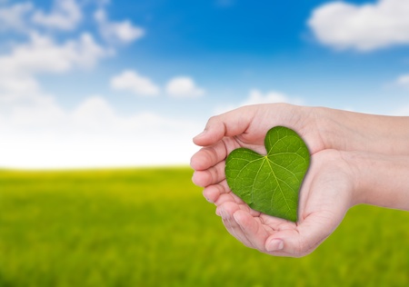 Heart shape of a leaf surrounded by beautiful female handsの写真素材