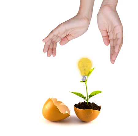 Hand hold growing green plant in egg shell and light bulbの写真素材
