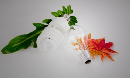 Light bulb and leaf on white backgroudの写真素材