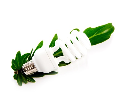 Light bulb and leaf on white backgroudの写真素材