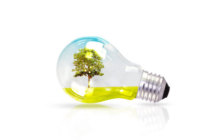 light bulb with tree inside