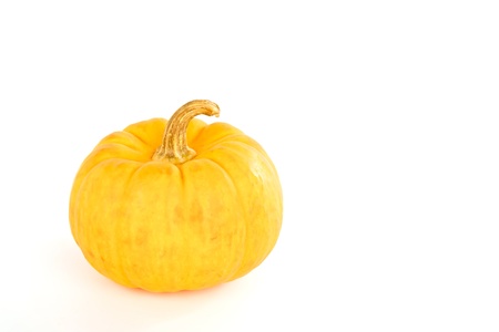 Miniature pumpkins on white backgroundの写真素材