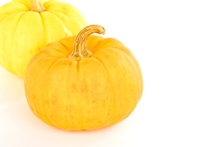 Miniature pumpkins on white backgroundの写真素材