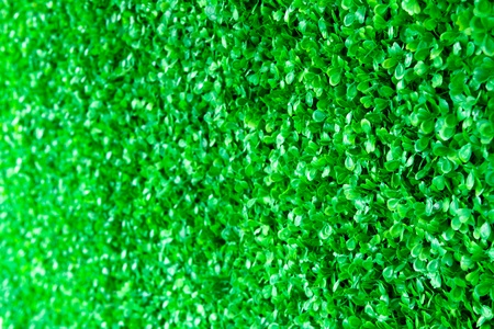 Artificial Grassの写真素材