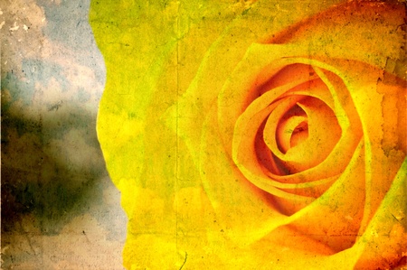 Grunge paper with yellow rose flowerの写真素材