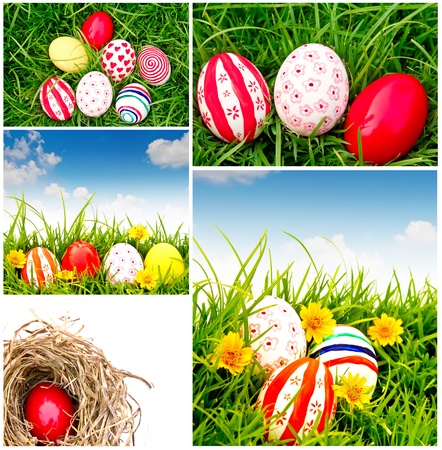 Collection of Easter Eggs  on Fresh Green Grassの写真素材