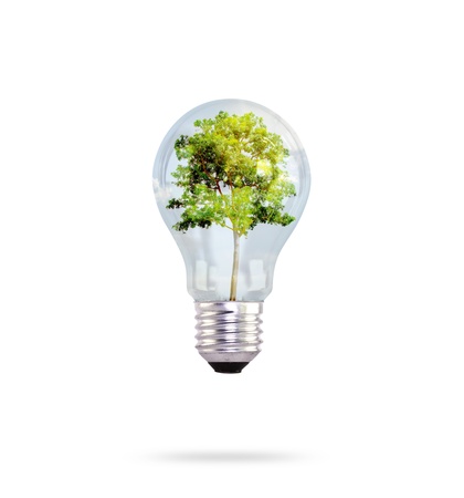 light bulb with tree insideの写真素材