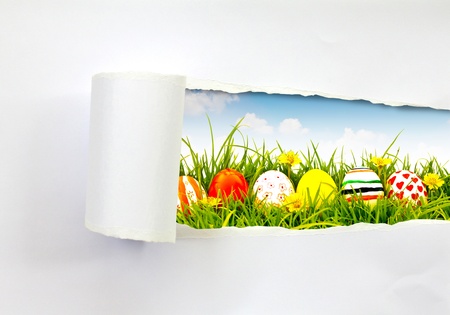 Easter eggs scene saw from ripped paperの写真素材