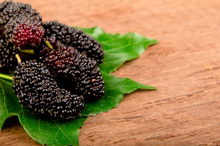 Mulberry and leaf on old woodの写真素材