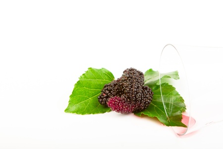Mulberry with the glassの写真素材