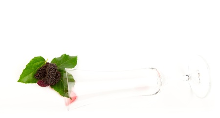 Mulberry with the glassの写真素材