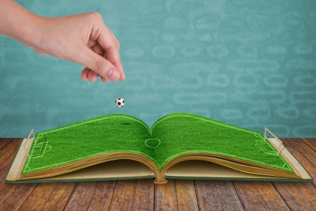 Hand drop football down to green grass  book of soccer stadiumの写真素材