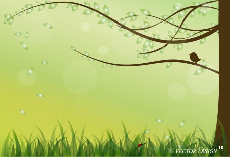 Lady bug and Fresh spring green grass background. のイラスト素材