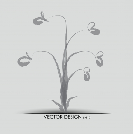 Vector flower background.のイラスト素材