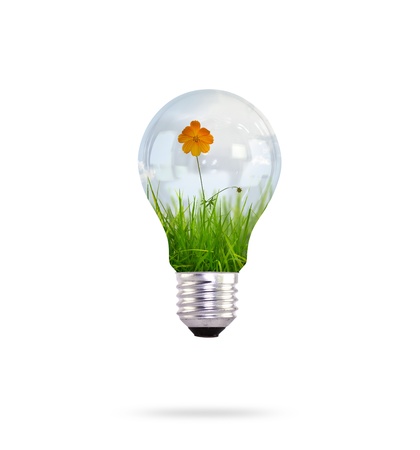 light bulb with beautiful flower insideの写真素材