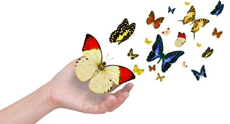 Hand holding butterfliesの写真素材