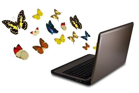 Butterfly reaches out of Laptopの写真素材