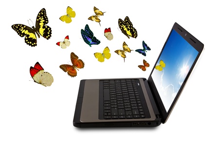 Butterfly reaches out of Laptopの写真素材