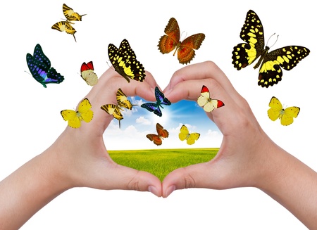 Hand holding butterfliesの写真素材