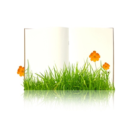 Book with flower and grassの写真素材