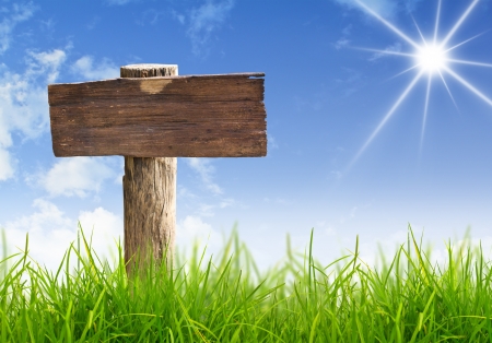 Wood sign with grass and blue skyの写真素材