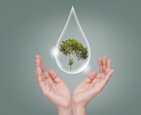 Eco concept : Hand hold water drop with tree insideの写真素材