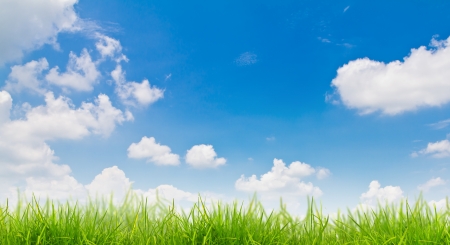 green grass and blue skyの写真素材