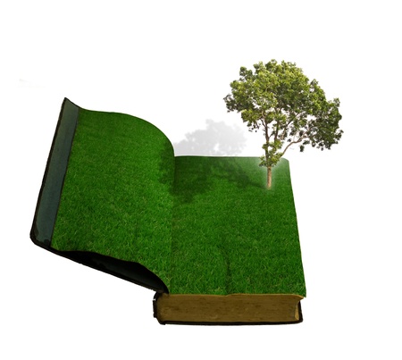 Tree growing from a bookの写真素材