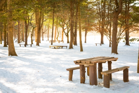 Wooden table and chairs in snowの写真素材